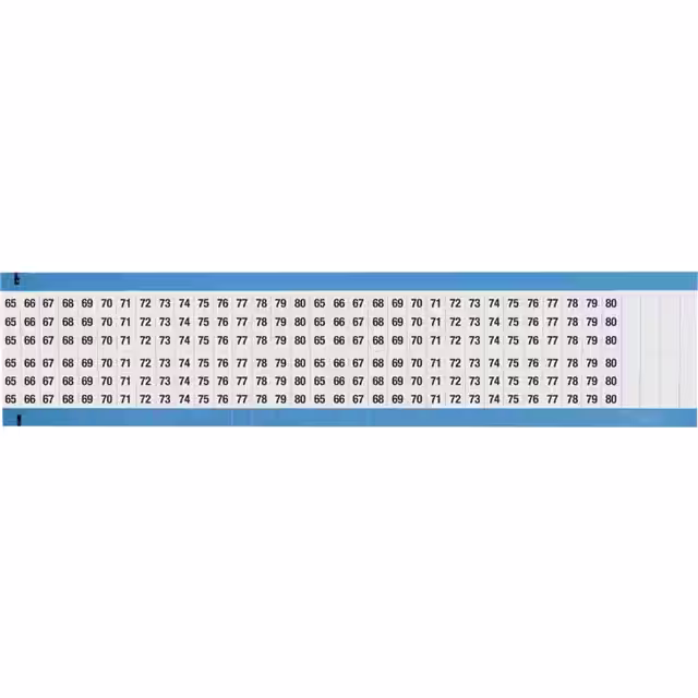 WM-65-80-DC-SC-PK